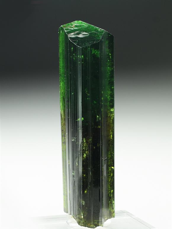 CC6938 specimen image
