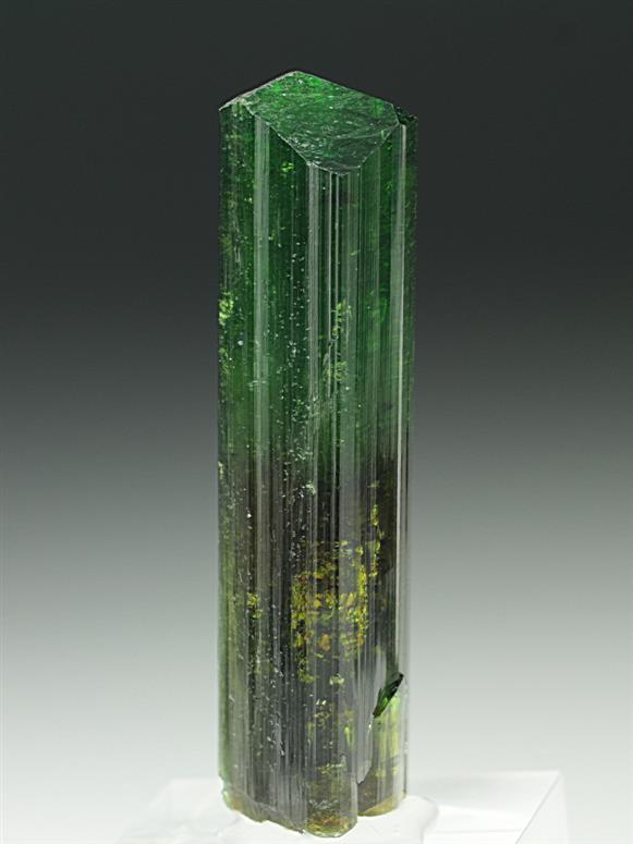 CC6948 specimen image