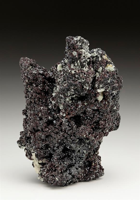 CC7167 specimen image