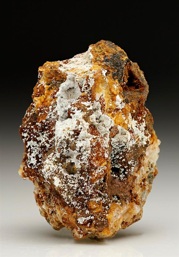 CC7192 specimen image