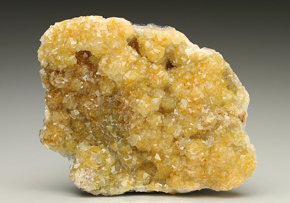 CC7330 specimen image