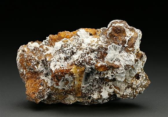 CC7493 specimen image