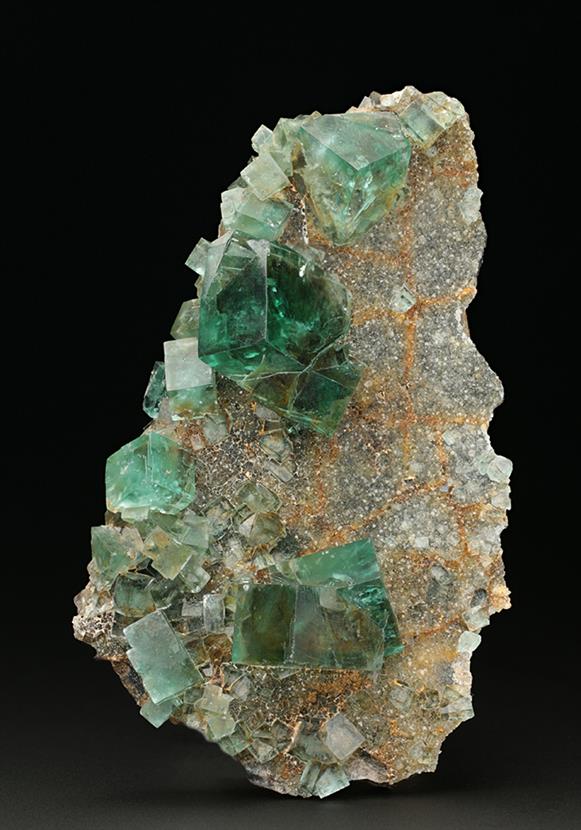 CC7673 specimen image