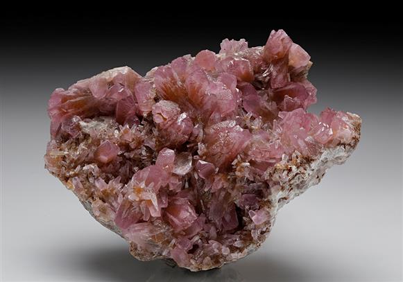 CC7727 specimen image