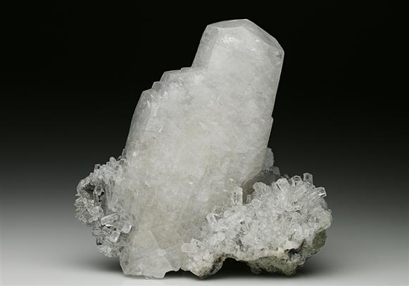 CC7740 specimen image