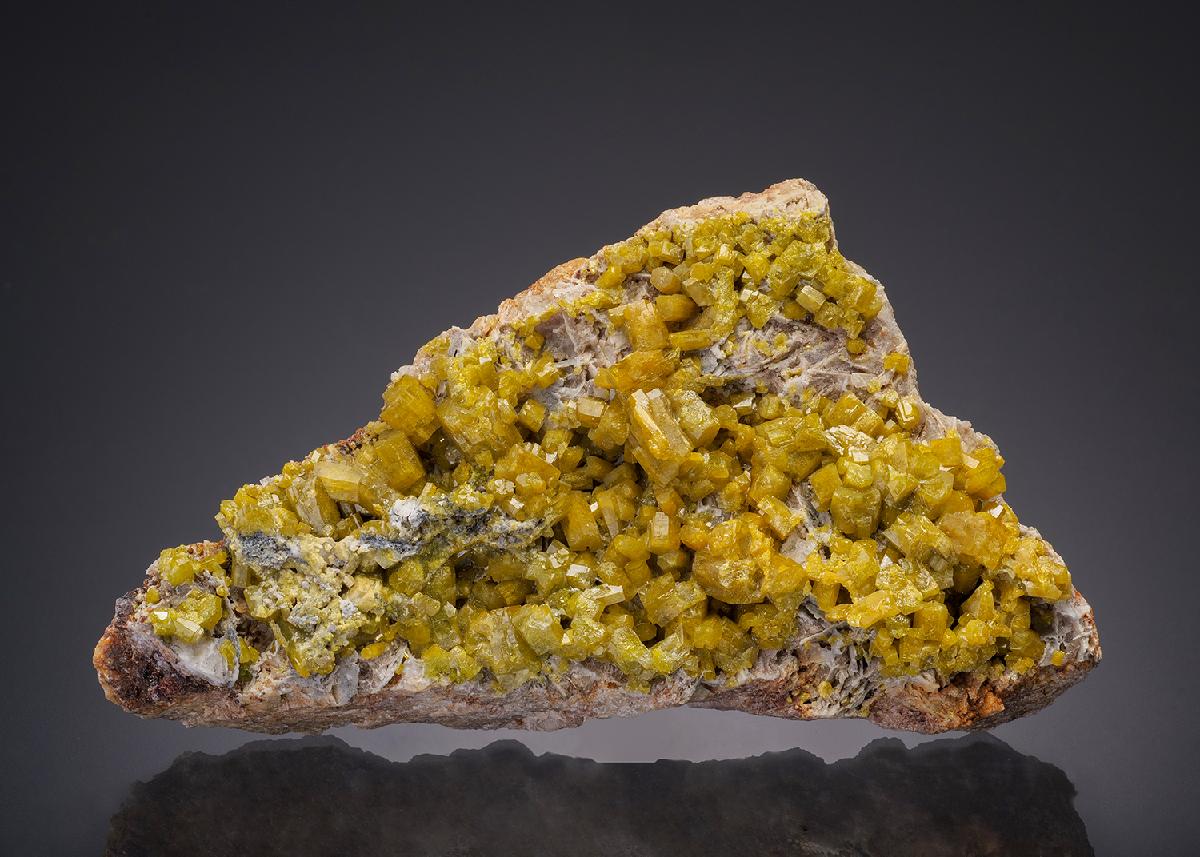 CC7909 specimen image