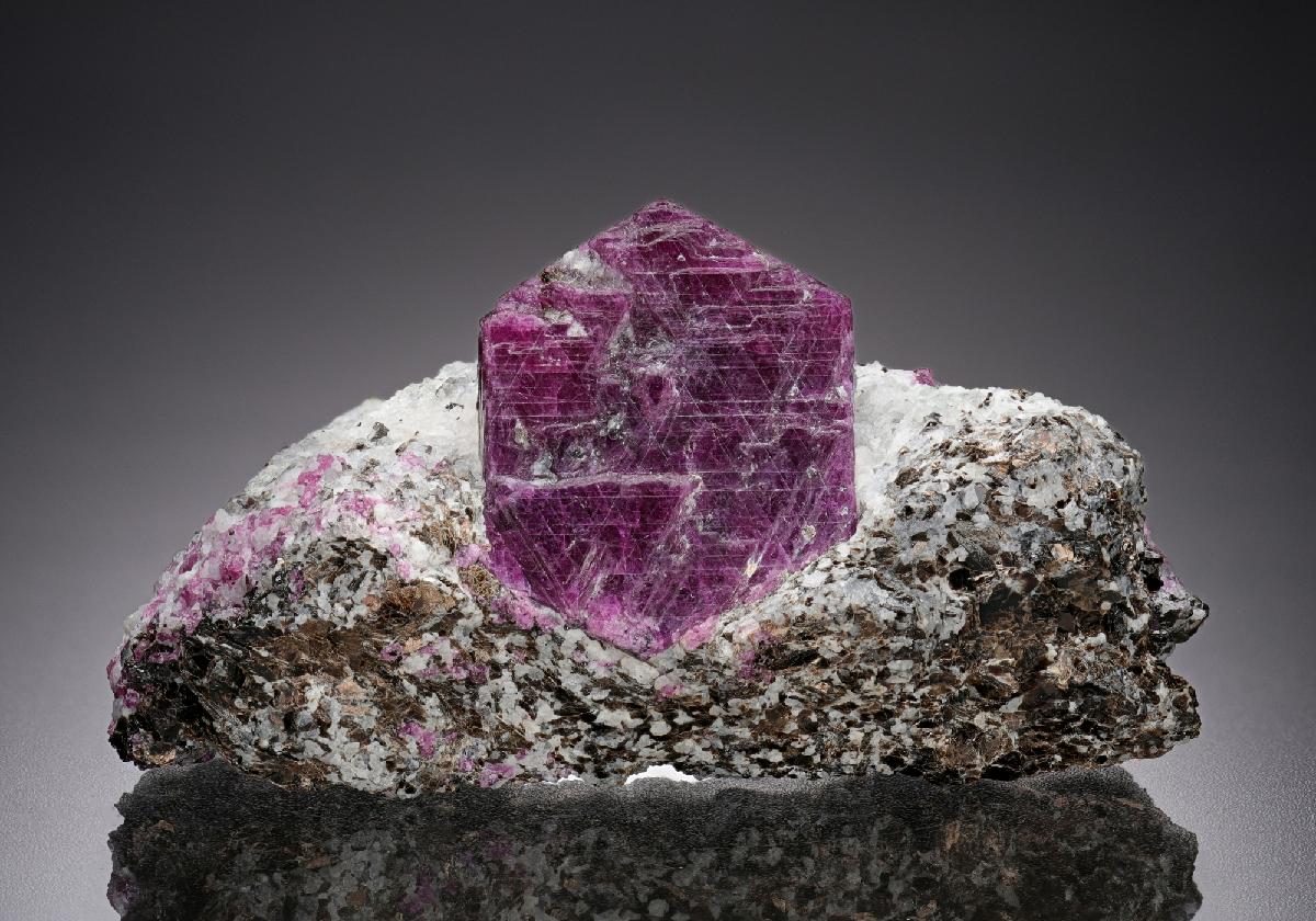 CC8125 specimen image