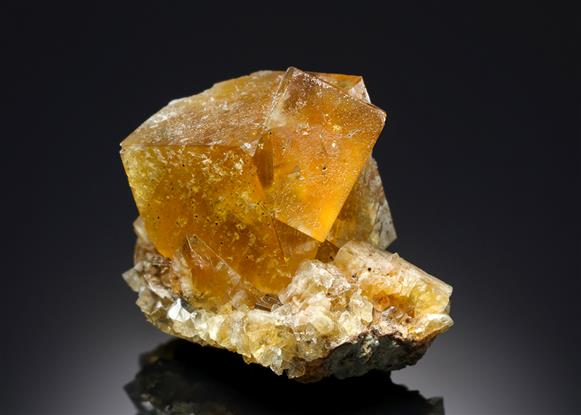 CC8161 specimen image