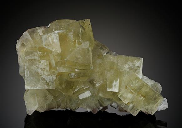 CC8178 specimen image