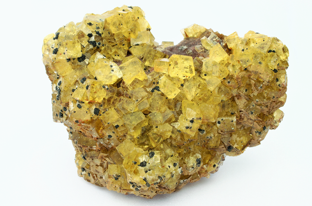 CC8420 specimen image