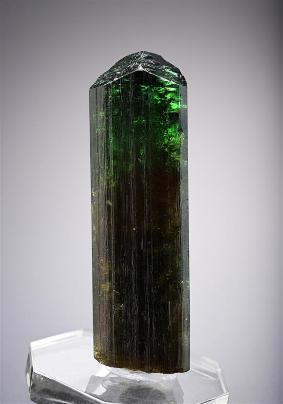 CC8491 specimen image