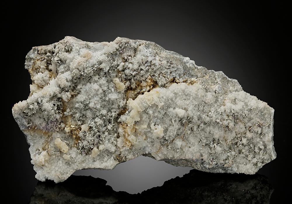 CC8492 specimen image