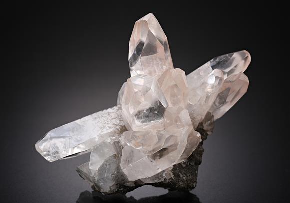 CC8616 specimen image