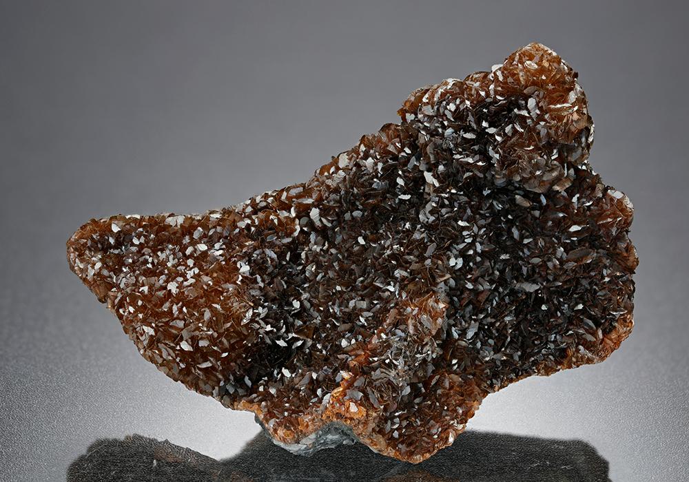 CC8669 specimen image
