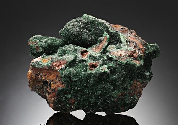 CC8672 specimen image