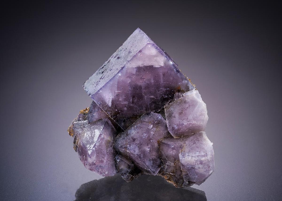 CC8759 specimen image