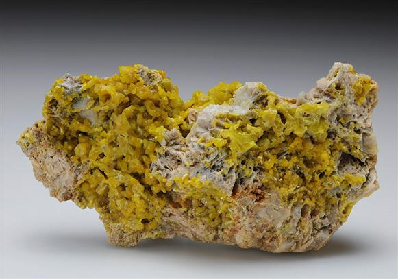 CC8890 specimen image