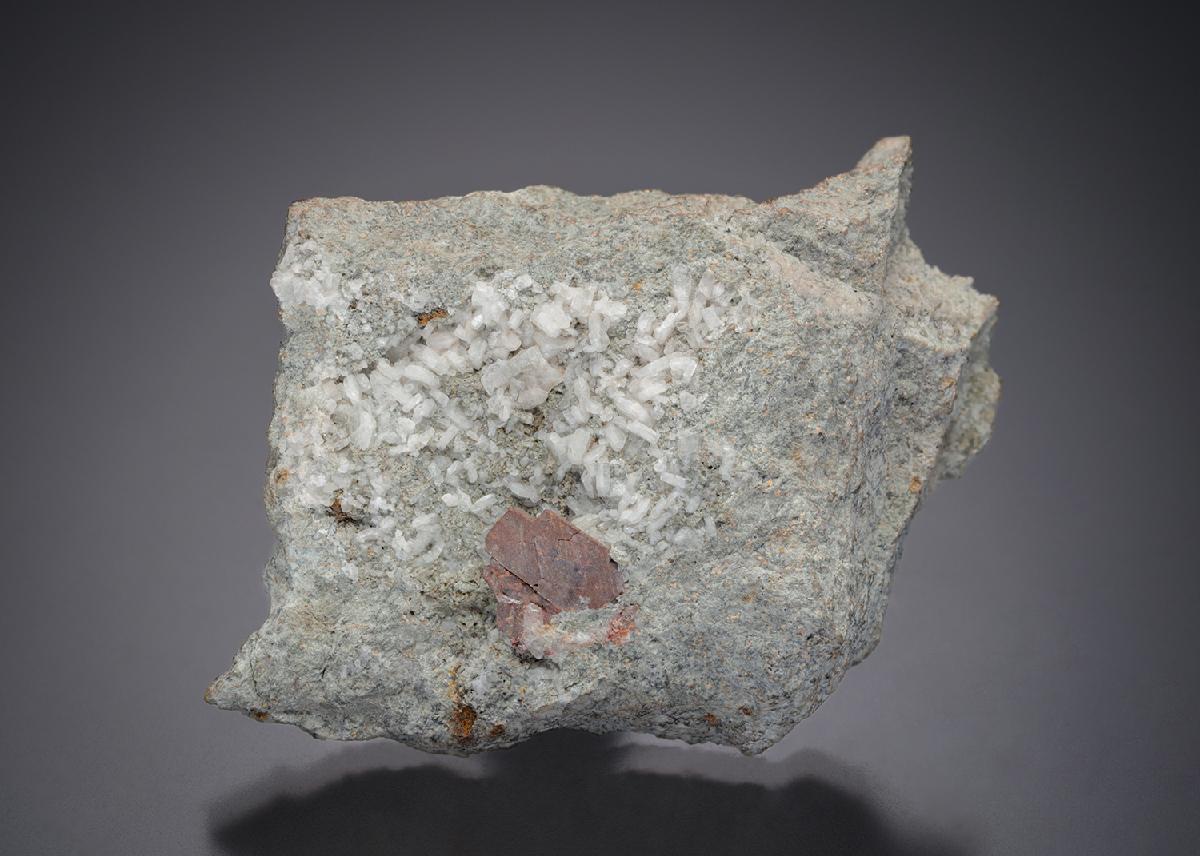 CC8977 specimen image