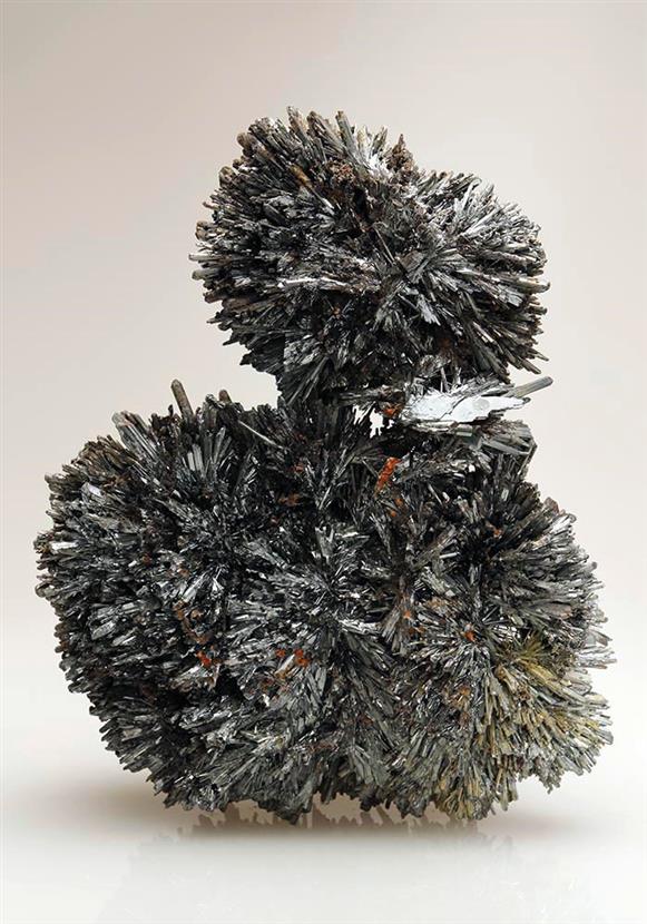 CC9014 specimen image