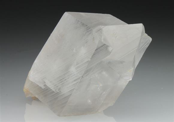 CC9093 specimen image