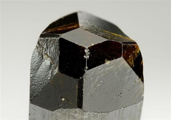 CC9104 specimen image