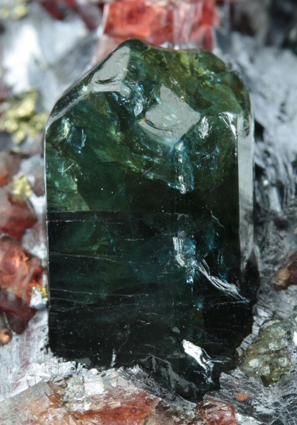 CC9162 specimen image