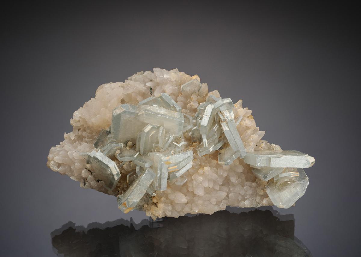 CC9185 specimen image