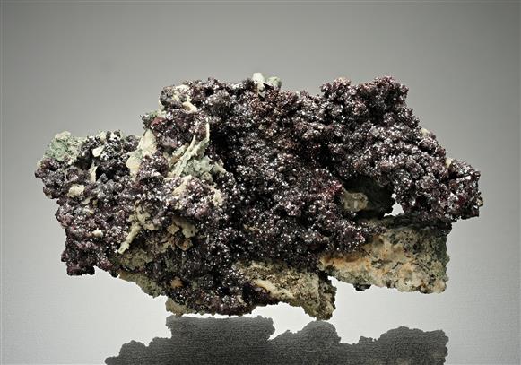 CC10021 specimen image