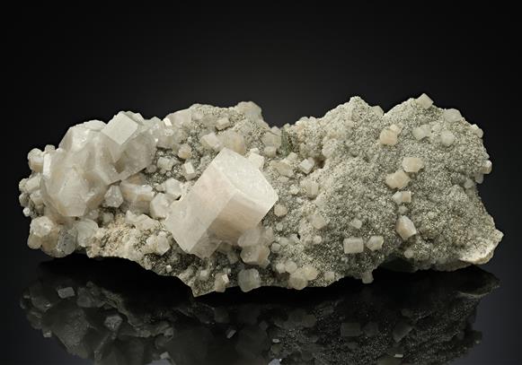CC10040 specimen image