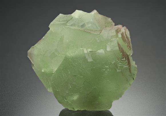 CC10046 specimen image