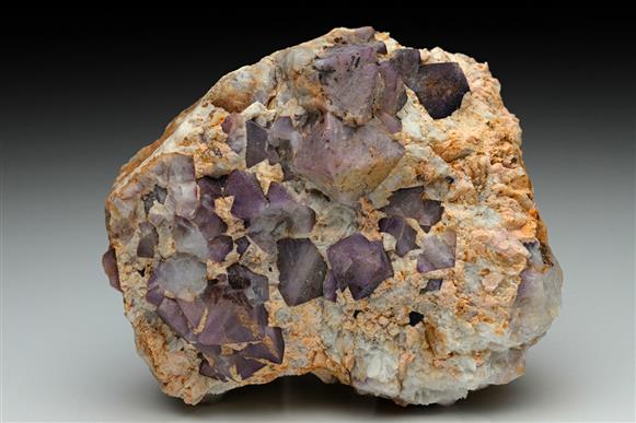 CC10047 specimen image