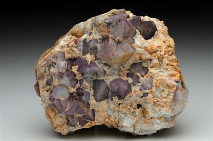 CC10047 specimen image