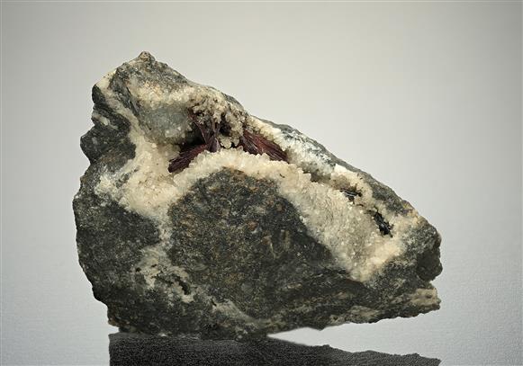 CC10054 specimen image