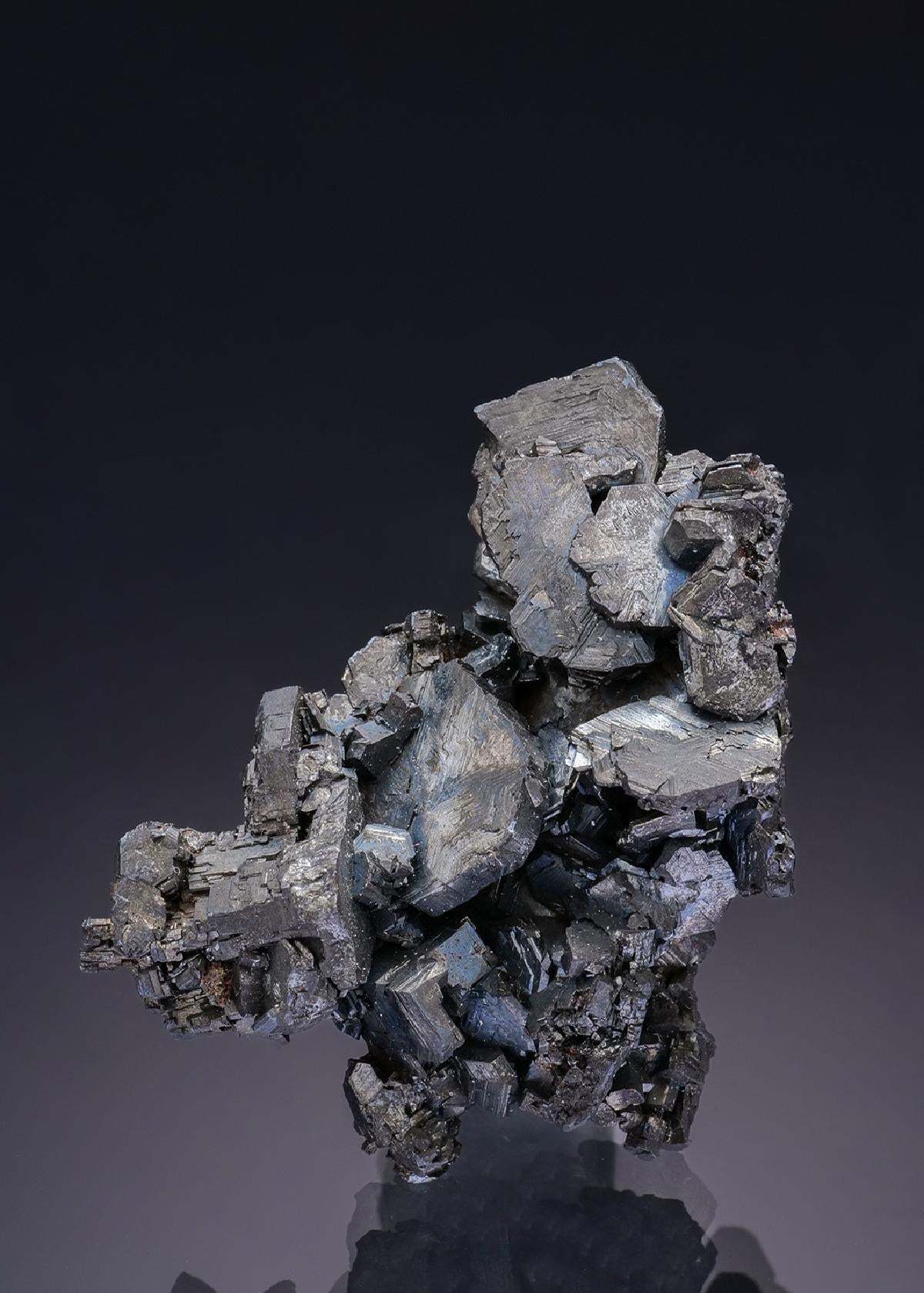 CC10059 specimen image