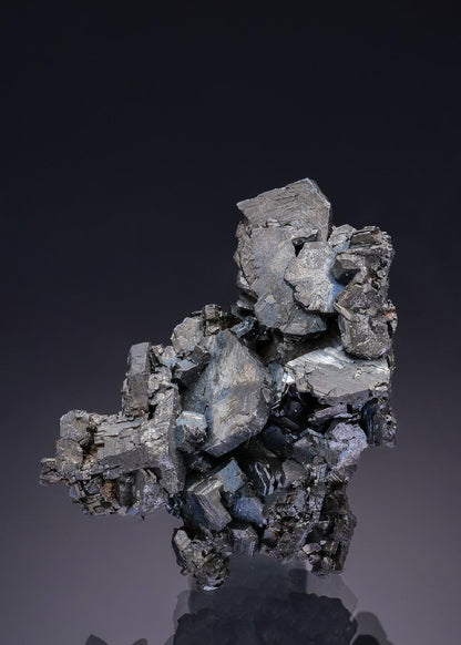 CC10059 specimen image