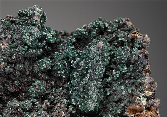 CC10061 specimen image