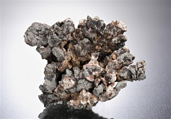 CC10069 specimen image