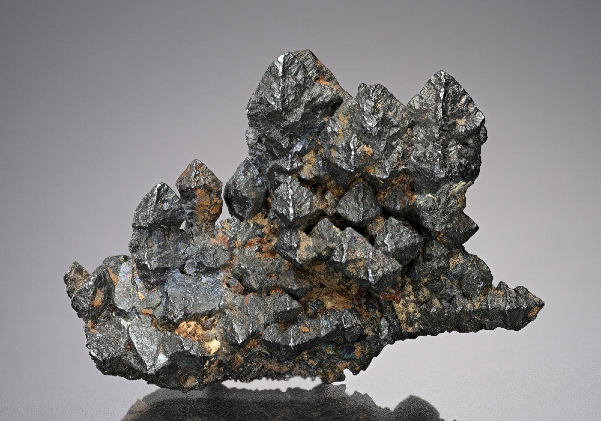 CC10072 specimen image