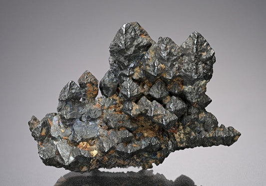 CC10072 specimen image