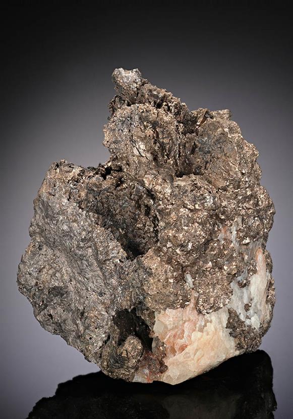 CC10079 specimen image