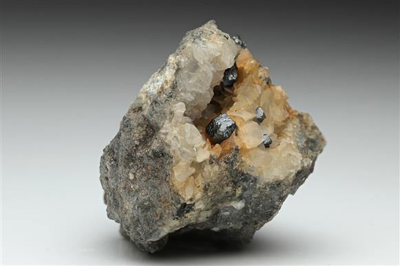 CC10083 specimen image