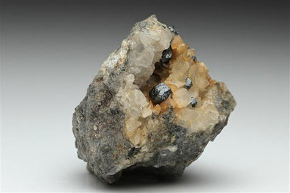 CC10083 specimen image