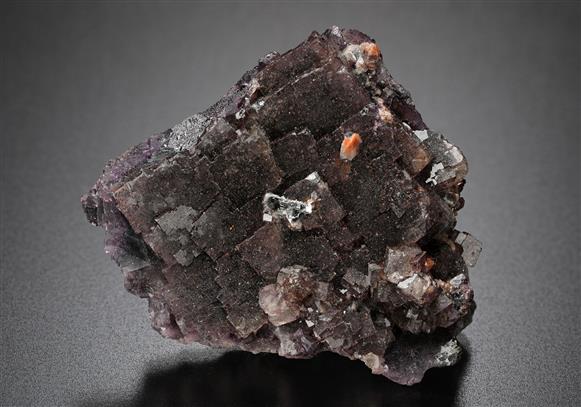 CC10096 specimen image