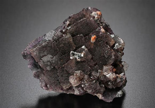 CC10096 specimen image