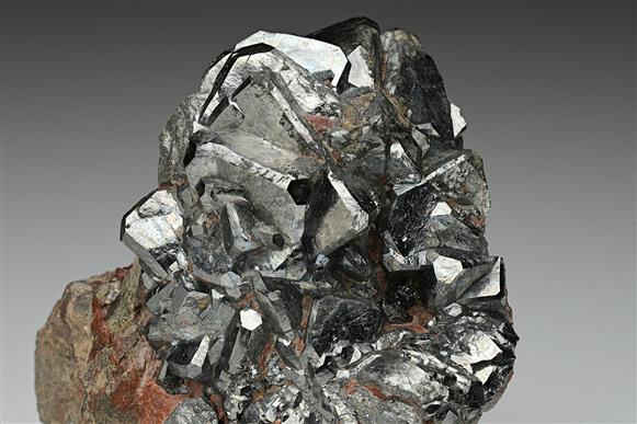 CC10098 specimen image