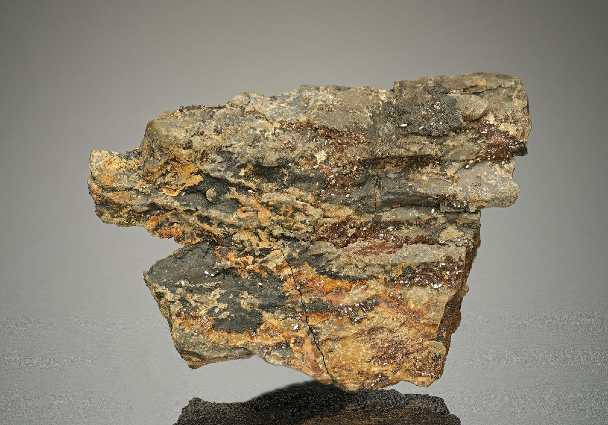 CC10100 specimen image