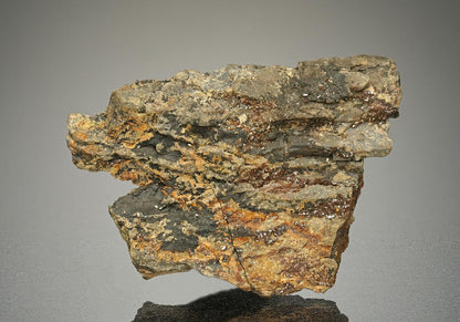 CC10100 specimen image
