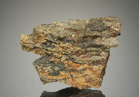 CC10100 specimen image