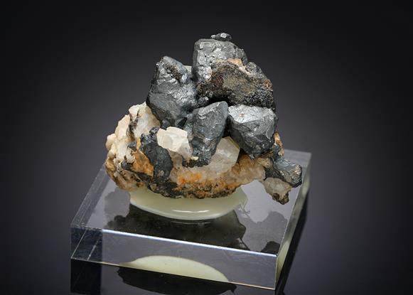 CC10102 specimen image