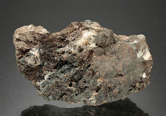 CC10107 specimen image